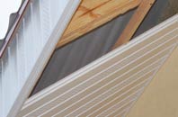 rated Ingrow soffit repair companies